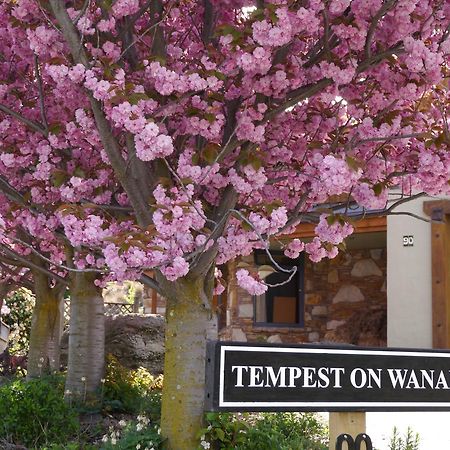 Bed and breakfast Tempest On Wanaka Extérieur photo