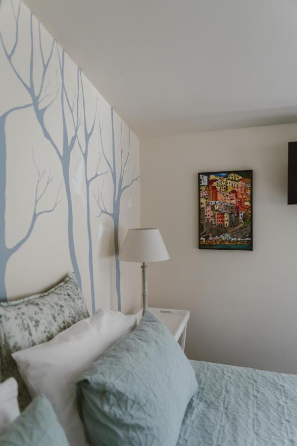 Bed and breakfast Tempest On Wanaka Extérieur photo
