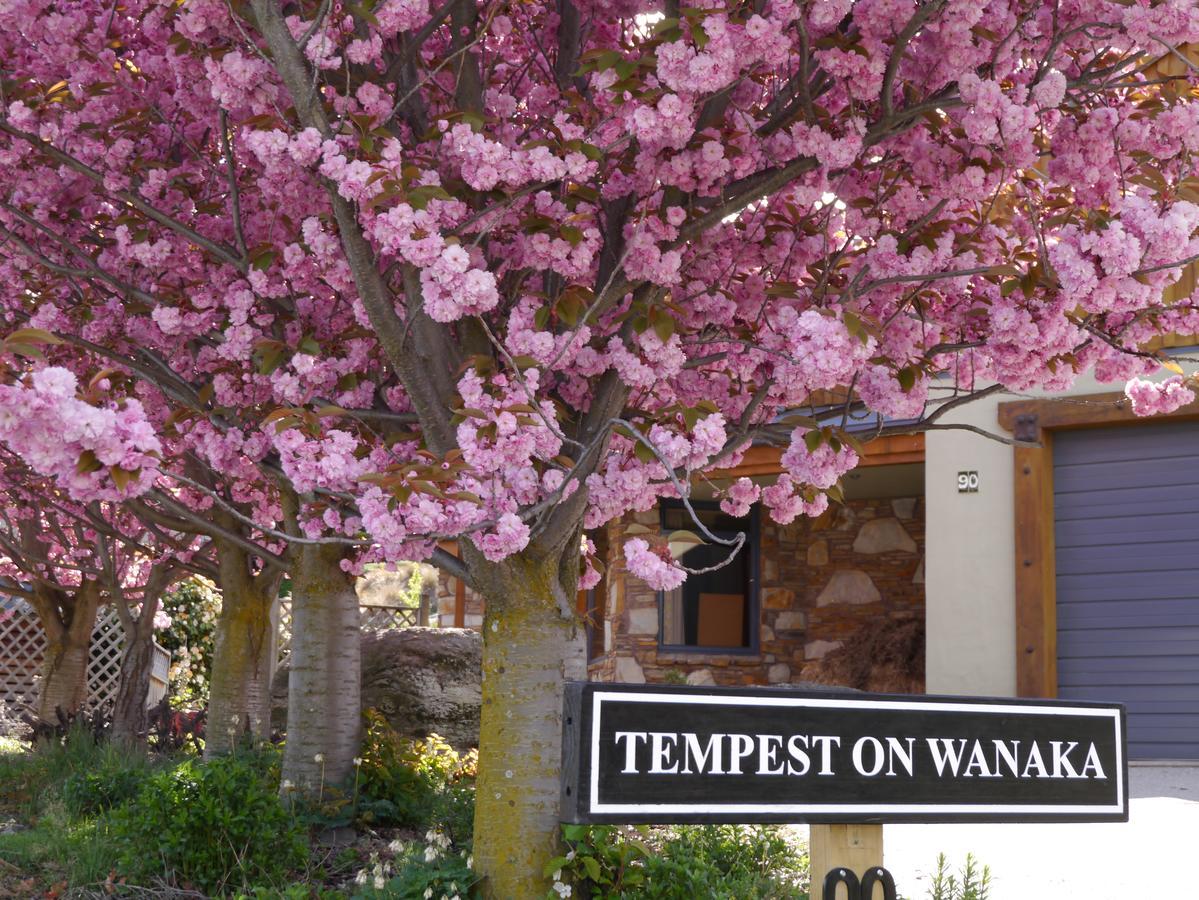 Bed and breakfast Tempest On Wanaka Extérieur photo